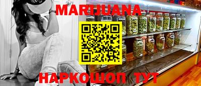 МДПВ Новозыбков