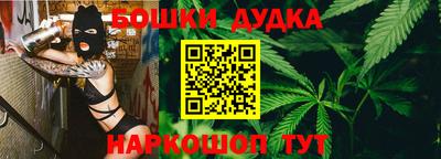 PSILOCYBIN Новодвинск