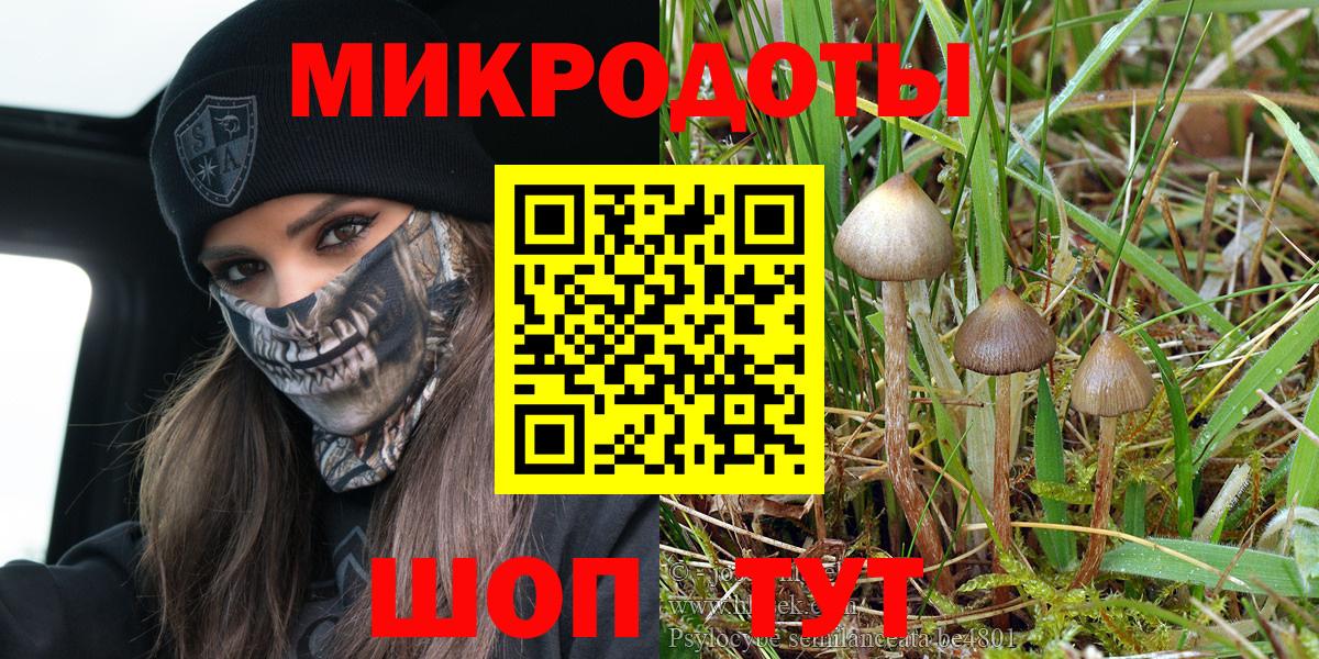 Тимашёвск  Галлюциногенные грибы GOLDEN TEACHER  Вход с VPN  Псилоцибиновые грибы Cubensis 